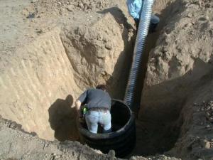 Photo of subterranean den