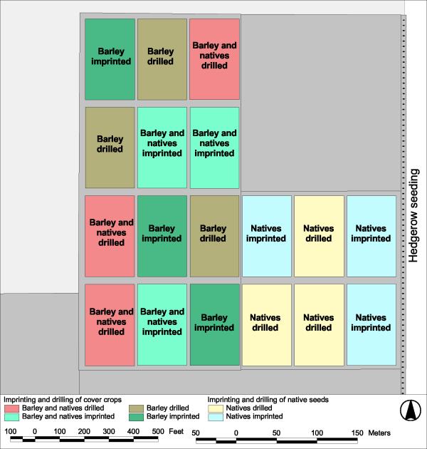 Picture showing the experimental design of the Imprinting vs. Drilling of Native Species trial.